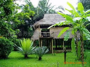 園林綠化生態茅草屋價格優惠