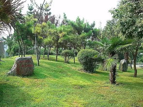 最新 河南這些東西統(tǒng)統(tǒng)免費(fèi) 很多人還不知道