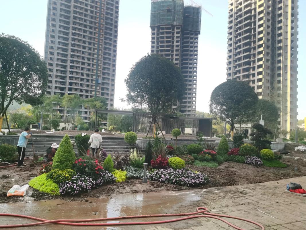 地產(chǎn)項(xiàng)目大門(mén)入口節(jié)點(diǎn)花境設(shè)計(jì)施工~#園林綠化工程 #施工現(xiàn)場(chǎng)