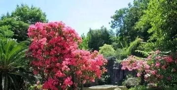 園林綠化施工的詳細流程步驟