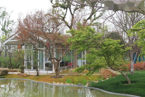 綠化行業王者之路 從園林施工到體育場地綠化全解析